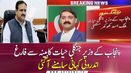 Asad Khokhar resigns as Punjab wildlife minister