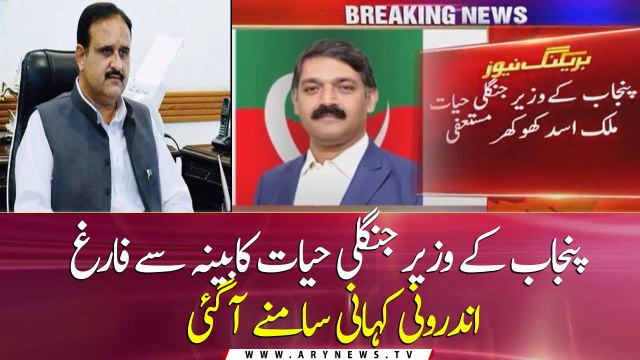 Asad Khokhar resigns as Punjab wildlife minister