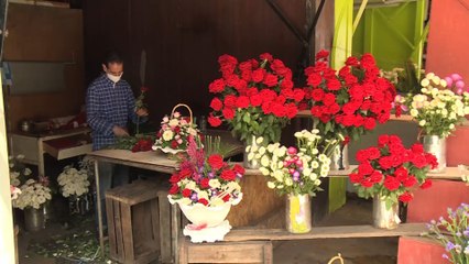 ركود في تجارة الورود بالمغرب لاستمرار حظر المناسبات الاجتماعية تفاديا لانتشار كورونا