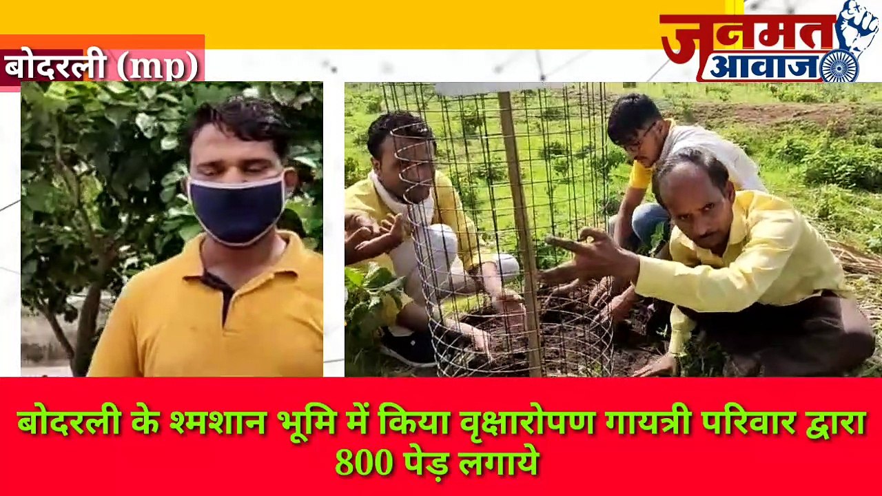 Janmat Awaaz,,,mp Burhanpurबोदरली के श्मशान भूमि में किया वृक्षारोपण गायत्री परिवार द्वारा 800 पेड़ लगाये