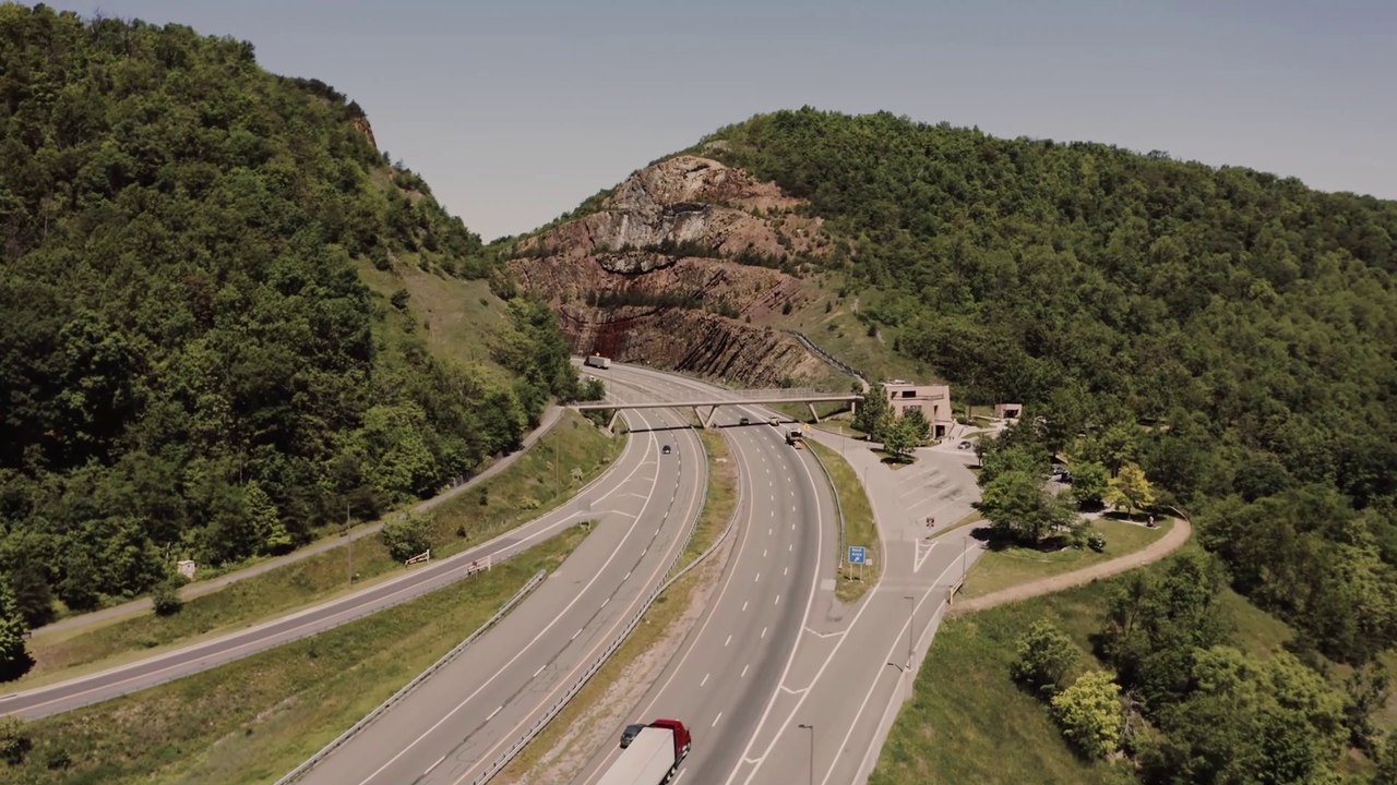 Forest - Relaxing Nature - WOODLAND Birds Forest RELAXATION - Beautiful Nature - 4K Ultra HD 60fps