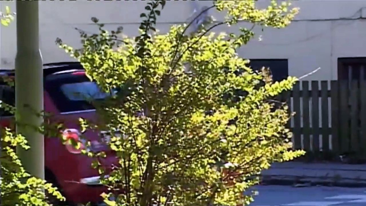 Året der gik | 2010 | 2-2 | Nordjylland | 29-12-2010 | TV2 NORD @ TV2 Danmark