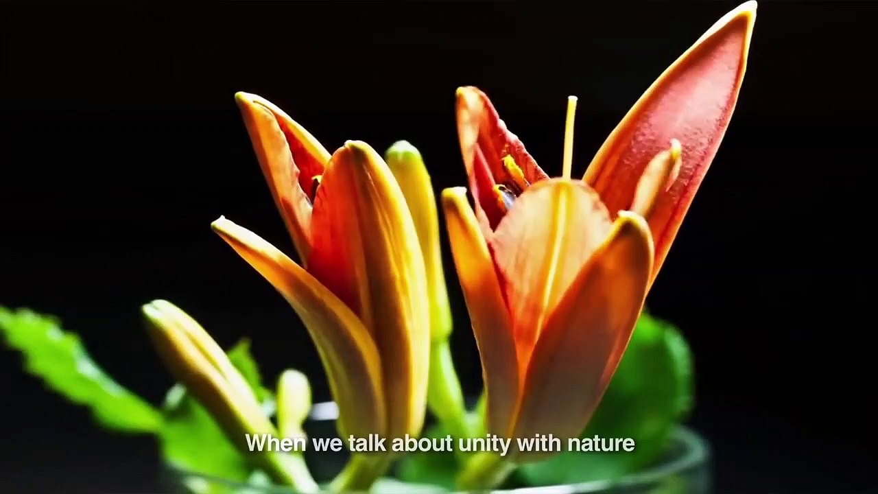 Yoga Harmony with Nature (English) Full Movie