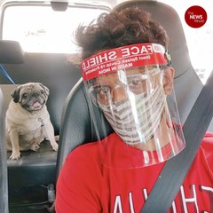 Hyderabad group offers pet boarding and care if owner gets COVID-19