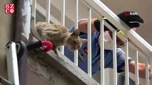Bursa'da nefes kesen kedi kurtarma operasyonu