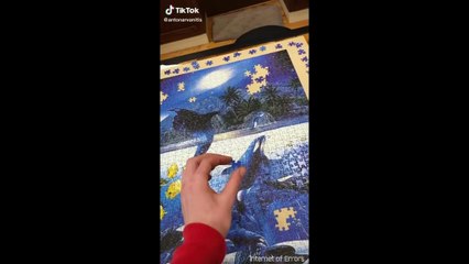 TikTok's You Really Should Be Watching Pt 8