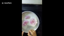 Vietnamese baker use syringes to create 3D hydrangeas flower in gelatine cake