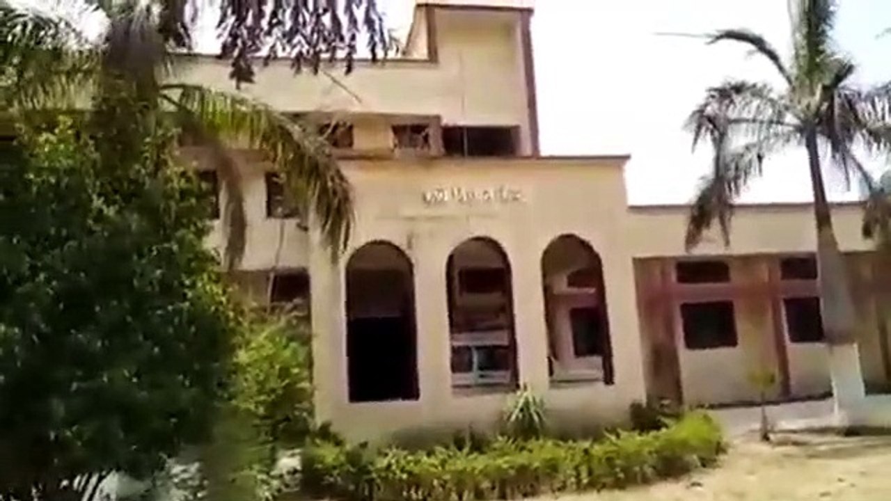 अल्प और अति वर्षा की स्थिति में भी होता है सोया...