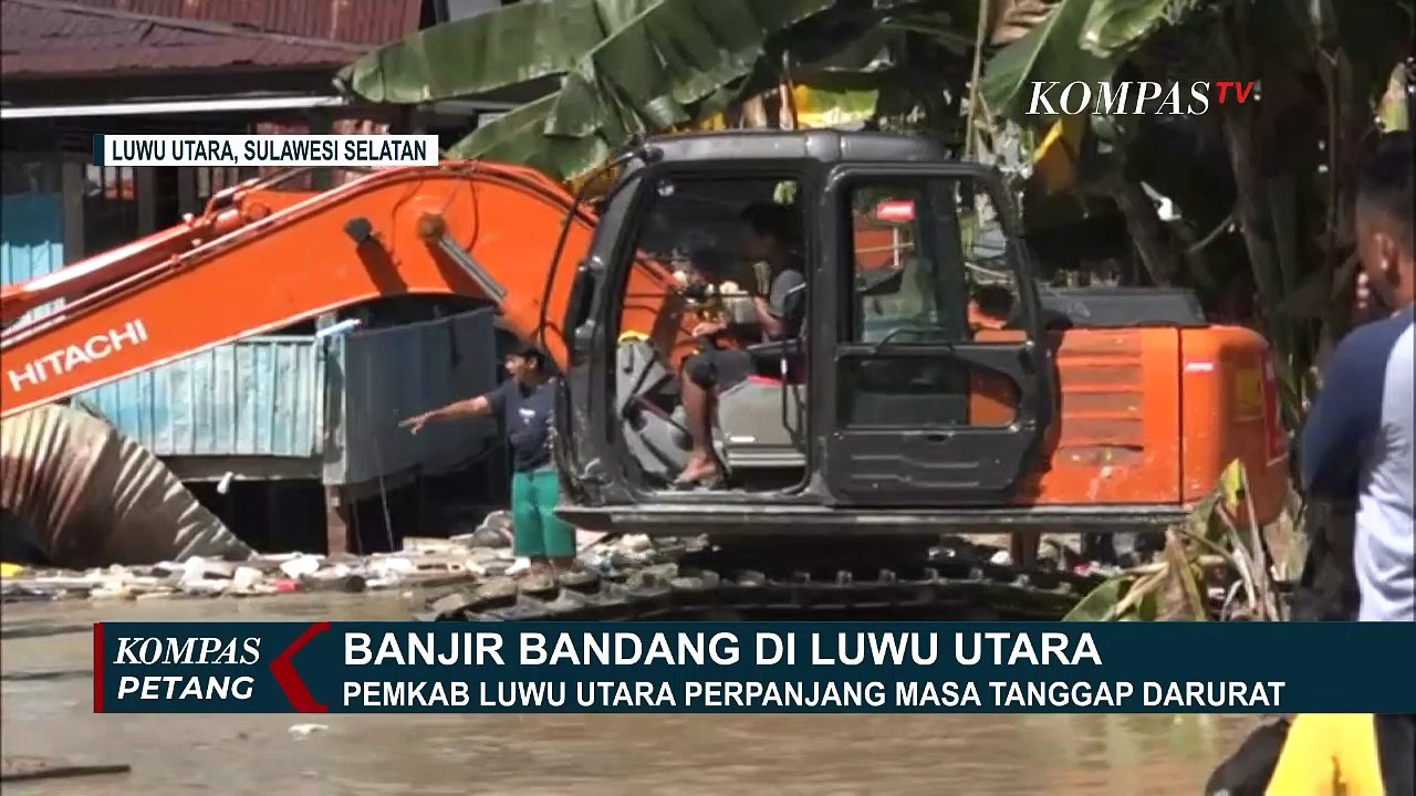 Banjir Luwu Utara Diduga Juga Akibat Pembalakan Liar di Hutan