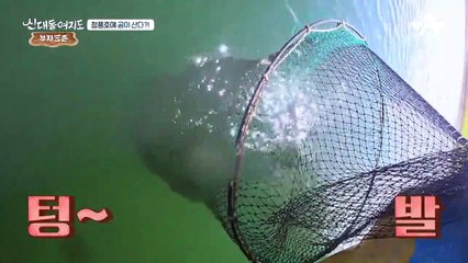 15년 산 잉어는 얼마나 클까? 낚시꾼들 깜짝 놀랄 잉어 사이즈 공개!