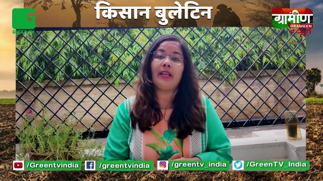Krishi क़र्ज़ लेने वाले Kisan जो Fasal का बीमा नहीं कराना चाहते हैं तो तुरंत अपने बैंक से सम्पर्क करें : Kisan Bulletin | Grameen News