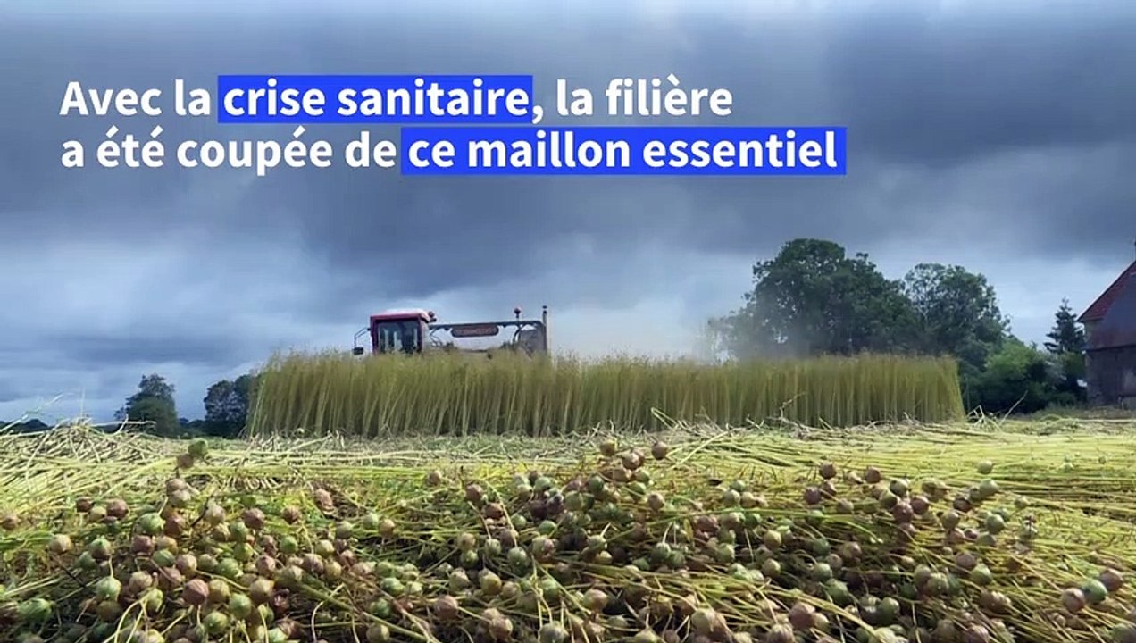 En France, la filière lin rêve d'une relocalisation