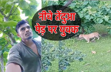 जंगल में तेंदुए से हुआ सामना