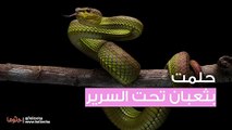 حلمت بثعبان تحت السرير