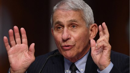 Fauci Uplifts New York’s Fight Against COVID-19