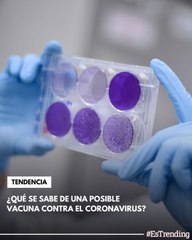 ¿Qué se sabe de una posible vacuna contra el coronavirus?