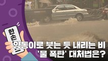 [15초 뉴스] 양동이로 붓는 듯 내리는 비...'물 폭탄' 대처법은? / YTN
