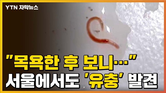 [자막뉴스] 목욕한 후 보니... 서울에서도 '수돗물 유충' 발견 신고 / YTN
