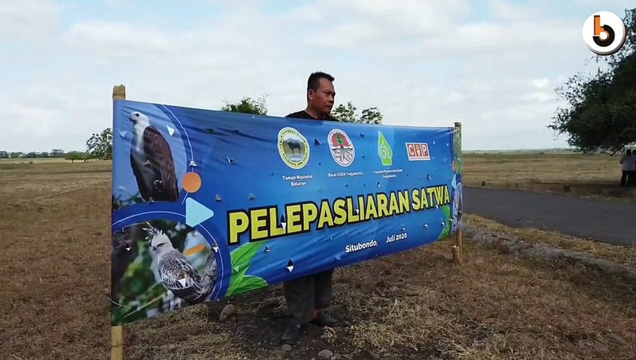 BKSDA YOGYAKARTA LEPAS 7 SATWA DI TAMAN NASIONAL BALURAN