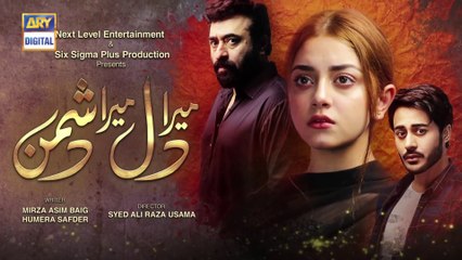 Mera Dil Mera Dushman Episode 40, 16th July 2020 - ARY Digital Drama
