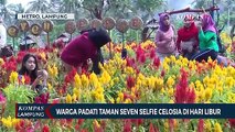 Warga Padati Taman Seven Selfie Celosia Dihari Libur