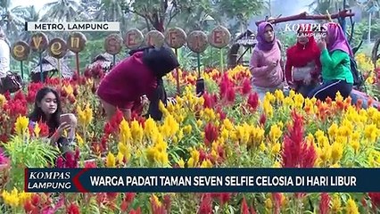 Warga Padati Taman Seven Selfie Celosia Dihari Libur