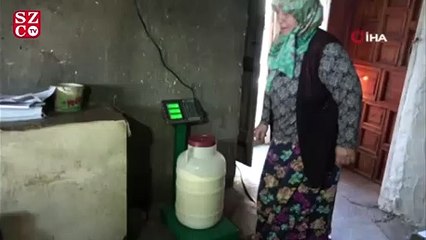 Fedakar anne günde 100 kilo yoğurt satarak çocuklarını okutuyor