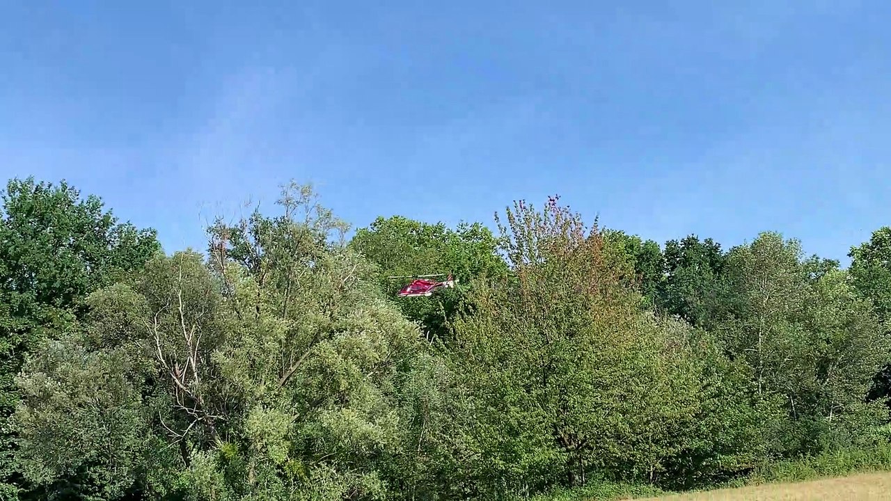 BELL 230