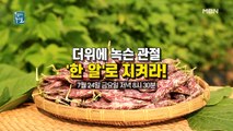 더위에 녹슨 관절,‘한 알’로 지켜라!