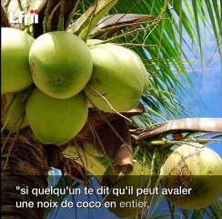 Top 10 des proverbes africains pour se redonner le sourire