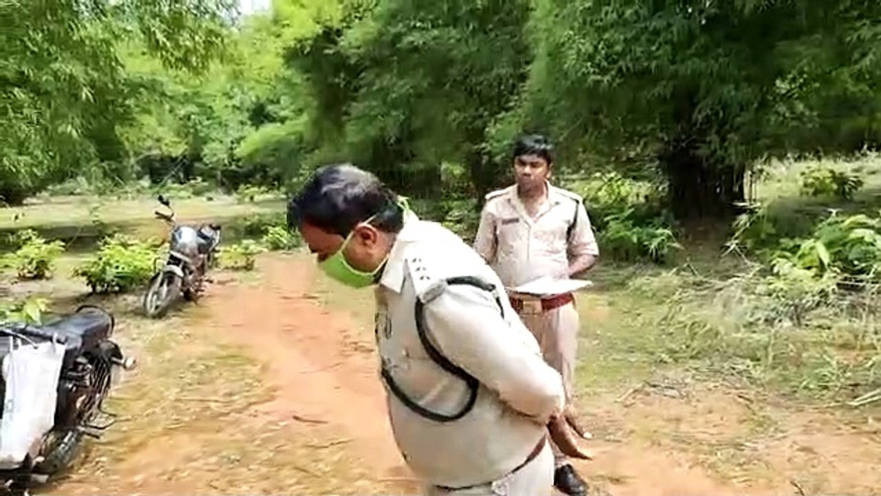 पेड़ों की अवैध कटाई पर अधिकारी पर भड़का गार्ड, कह...
