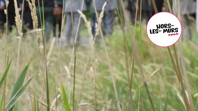 [Hors-les-murs] Commission d’enquête sur les pollutions des sols : déplacement dans le Val-de-Marne