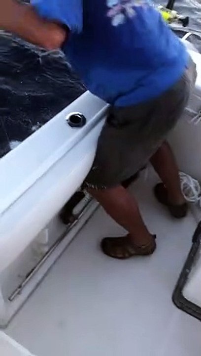 Fisherman Dives in to Save Snapper Catch