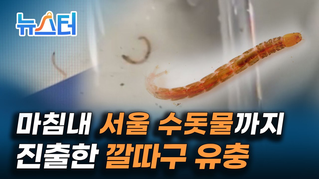 인천에서부터 발견된 '수돗물 유충' 도대체 정체가 뭐야? [뉴스터]