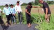 Rescuer gets into farm pond to save poisonous cobra in western India