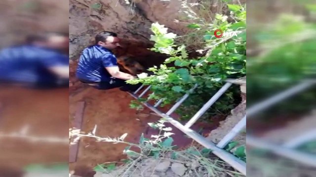 3 metre derinliğindeki çukurda mahsur kalan köpek ve koyun kurtarıldı- Sivas’ta 3 metre derinliğindeki su dolu çukurda mahsur kalan koyun ve köpek itfaiye ekipleri tarafından kurtarıldı.