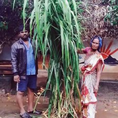 ஆடு வளர்ப்பில் செம லாபம்.. மிக எளிதாக சம்பாதிக்கலாம்.. உதவும் ஆக்ரோடெக் (Agrotech)