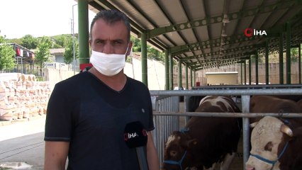 Kocaeli’de kurban pazarları sakin olmasına rağmen satıcılar memnun