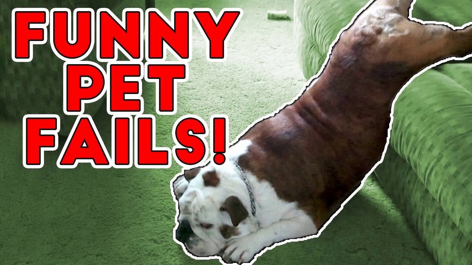 ⁣Hilarious Pet Fails 2017 _ Funny Pet Videos