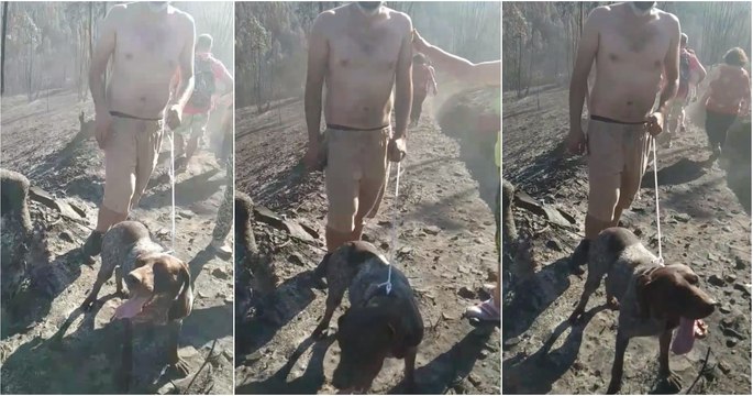 2 anos depois homem encontra e salva o seu cão do fogo no canil em Santo Tirso