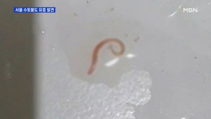 서울 중구 오피스텔서도 수돗물 유충 신고…유입 경로 조사 중