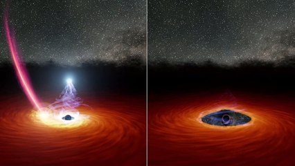 Captan en primicia el colapso y renacer de una corona de agujero negro