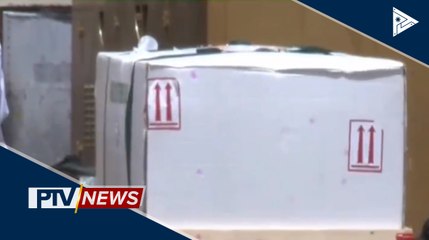 Labi ng OFW na umano'y nagpakamatay sa cruise ship, naiuwi na sa bansa