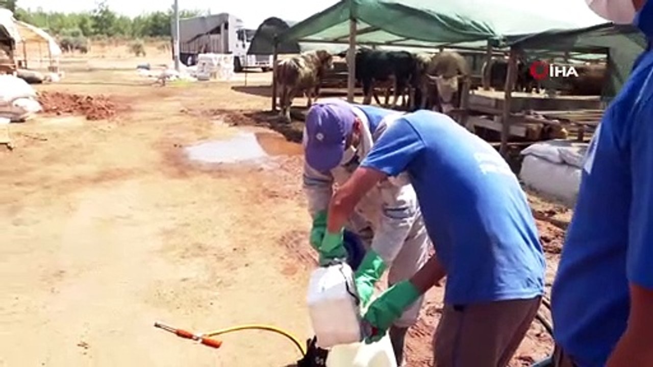 Kurban satış yerleri ilaçlanıyor