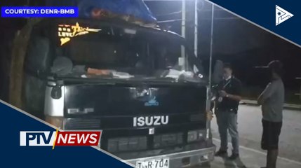 3 lalaki na nahuli sa aktong nagpupuslit ng kahoy, arestado