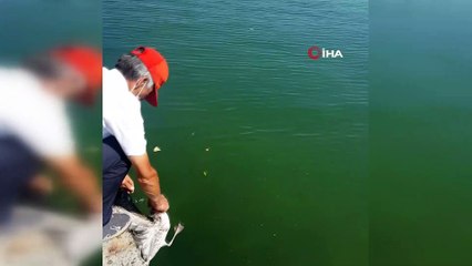 Oltaya balık değil, martı takıldı