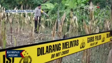 Diduga Korban Pembunuhan, Seorang Pria Ditemukan Tewas Di Ladang Jagung