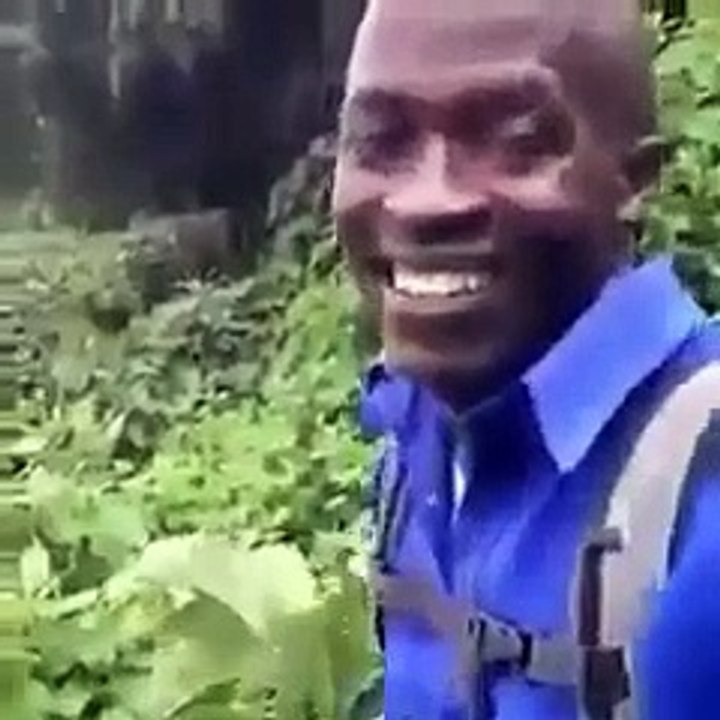 funny black guy