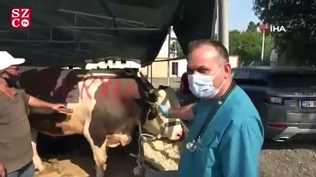 Kartal’da kurban satış alanında termal kamera dönemi