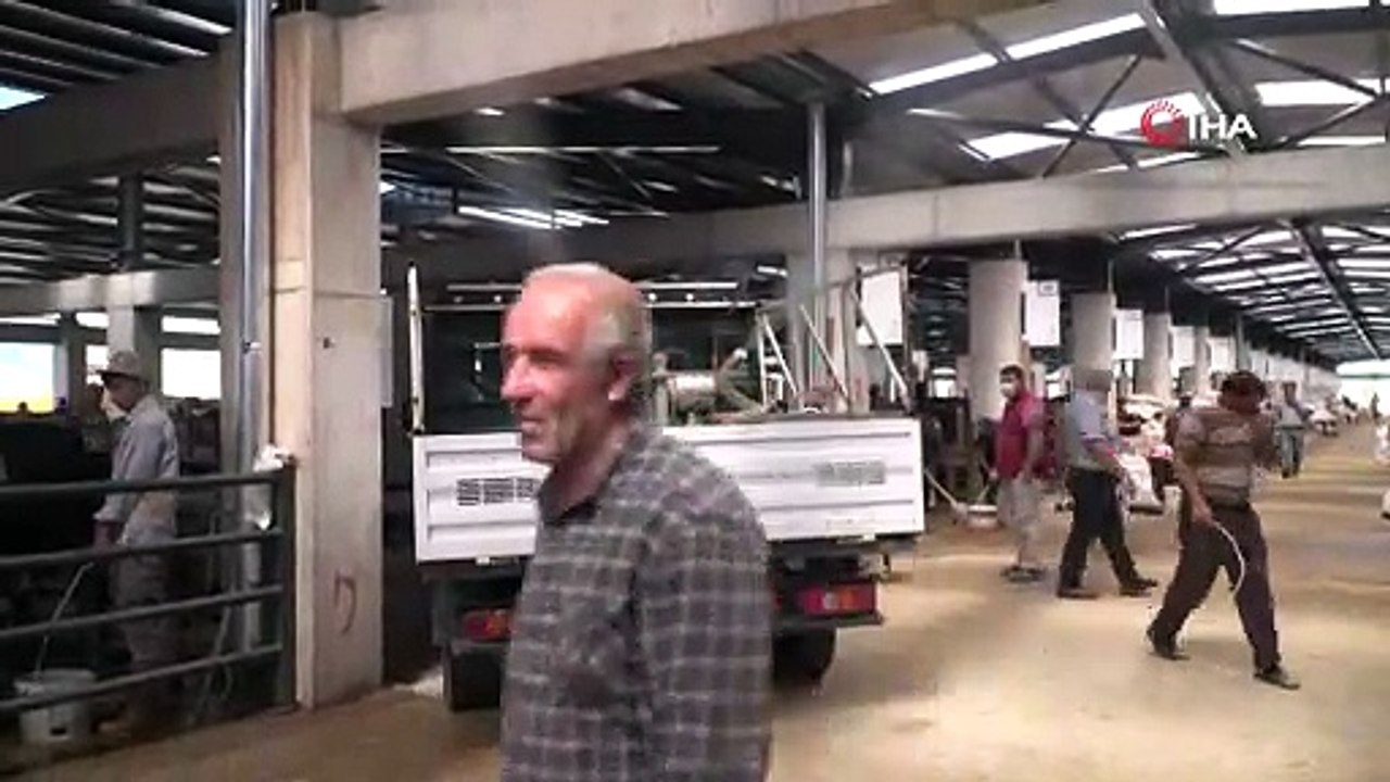 Kurban satış yerleri sinek ve mikroplara karşı ilaçlandı
